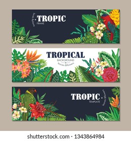 Vector collection of three cards, with parrots, exotic flowers, plants and leaves. Colorful tropical printable set for party posters, greeting cards, wedding invitations