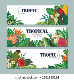 Vector collection of three cards, with parrots, exotic flowers, plants and leaves. Colorful tropical printable set for party posters, greeting cards, wedding invitations