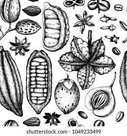 Vector collection of tonic and spicy plants. Hand drawn spices illustrations set. Vintage aromatic elements. Sketched flowers, leaves, seeds, fruits, nuts, beans.