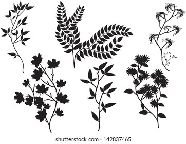 Vector Collection of Tree Branches