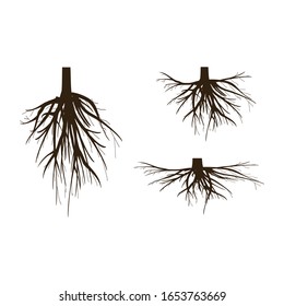 Vector collection of tree roots and underground plants on a white background. Illustration of plant silhouette roots.