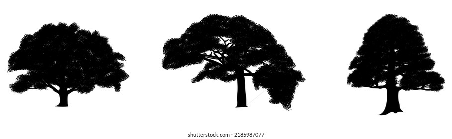 vector collection of tree silhouettes on a white background or isolated