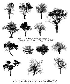 6,028 Aspen tree silhouette Images, Stock Photos & Vectors | Shutterstock