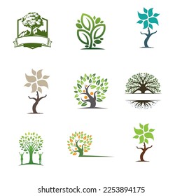 Vector collection of trees of various types and sizes