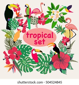 Vector collection of tropical birds, palm leaves and flowers illustration