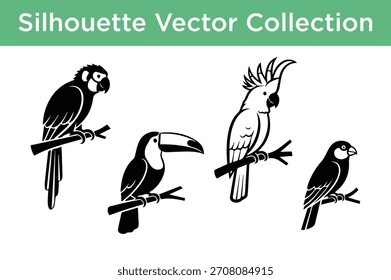 Vector colección de siluetas de aves tropicales y exóticas, incluyendo guacamayo, tucán y cacatúa, encaramadas en ramas.