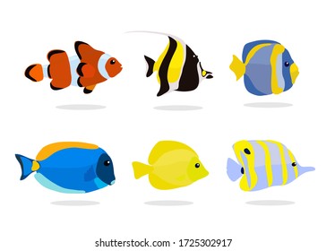 vector collection of Tropical fishes coral reef for aquarium