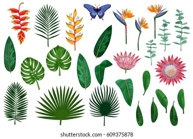 Vector collection of tropical leaves and flowers. Exotic set isolated on white background.