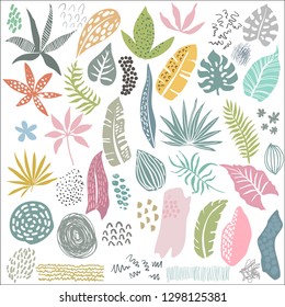 Vector collection of tropical plants and hand drawn abstract textures. Colorful nature set