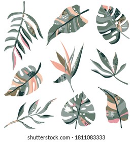 Colección vectorial de plantas tropicales y texturas abstractas dibujadas a mano. Conjunto de naturaleza colorida