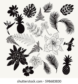 Vector collection of tropical plants,  leaves and flowers isolated palm fern monstera leaves collection set of tropical botanical black icon  design elements