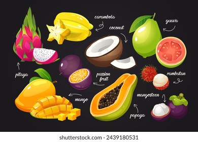 Colección vectorial de frutas tropicales maduras y jugosas en estilo de dibujos animados con pitaya, mango, frutas de la pasión, carambola, coco, huava, rambután, mangostán, papaya.