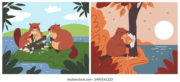 Una colección de Vector de dos ilustraciones que representan castores en un bosque con un río. Encantador castor con una cola plana, royendo en un árbol en su hábitat natural