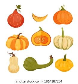 Vector collection of various autumn pumpkins