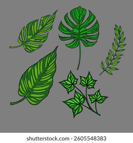 A vector collection of various green leaves illustrated in a stylized manner. The leaves include a monstera leaf, a fern, and other tropical varieties, showcasing different shapes and textures.
