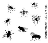 Vector collection of various positioned doodle flies and mosquitoes.