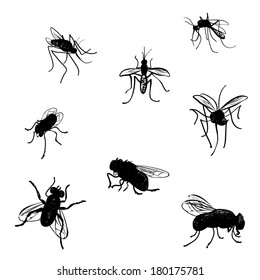 Vector collection of various positioned doodle flies and mosquitoes.