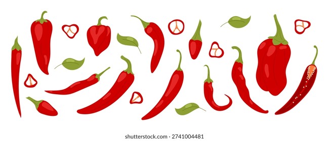 Vector collection of various red hot chili peppers, including whole pods, halves with seeds, slices, and green leaves. Flat cartoon illustration isolated on white background for spicy food design, menu, and recipes.