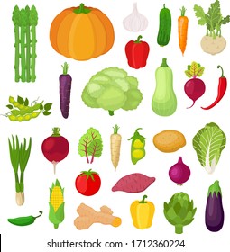 Vector collection of vegetables - corn, pumpkin, potato, tomato and others. Organic vegetables in cartoon flat style. Vegetarian concept.