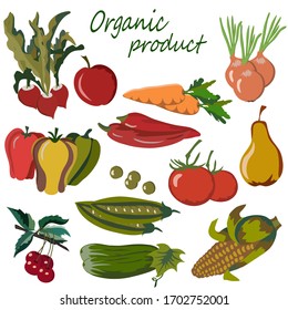 Vector collection of vegetables and fruits.Agriculture products in color set.