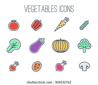 Vector collection of vegetables icons: tomato, pepper, carrot, salad, eggplant, pumpkin, radish, potato, red beet, cucumber, broccoli, mushroom . Thin line icons.