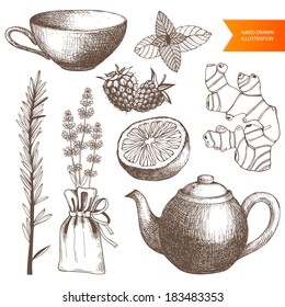 Vector collection of vintage hand drawn tea time and spices illustrations isolated on white