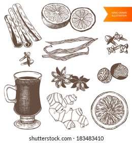 Vector collection of vintage hand drawn mulled wine and spices illustrations isolated on white 