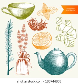 Vector collection of vintage hand drawn tea time, spices and herbs ink illustrations.