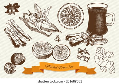 Vector collection of vintage ink hand drawn mulled wine and spices illustrations. 
