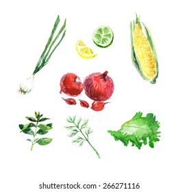 Vector collection of watercolor herbs on white background.