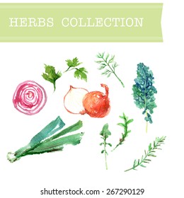 Vector collection of watercolor herbs on white background.