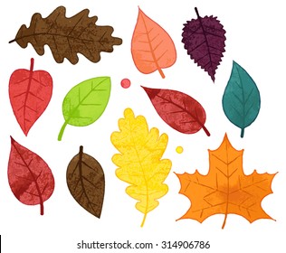 Vector Collection of Watercolor Style Autumn Leaves