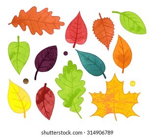 Vector Collection of Watercolor Style Autumn Leaves
