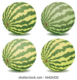 vector collection of watermelons