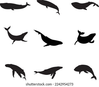 A vector collection of Whales for artwork compositions