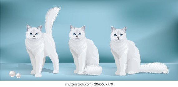 Vector collection white cat with blue eyes and fluffy tail. Cat standing and sitting and looking in camera. Front view illustration. 