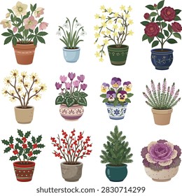 Vector collection of winter houseplants and botanical elements in pots, featuring holly berries, winterberry, pine tree, witch hazel, winter jasmine, and hellebore isolated on white background.