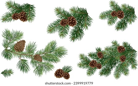 Vector collections of Christmas tree branch with pine cones	
