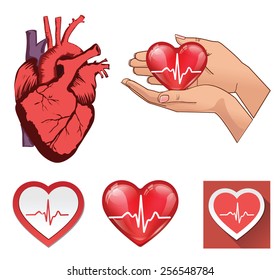 Vector collections of human heart symbols