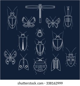 Vector collection/set of beautiful insects/ bugs. Flat design