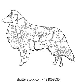 Vector Collie dog coloring