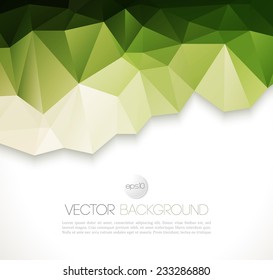 Vector color abstract geometric banner with triangle.