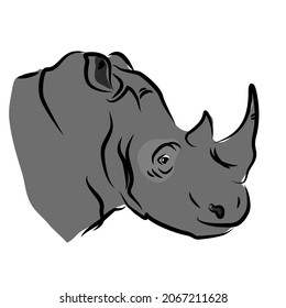 vector color african wildlife big rhinocenos endangered savannah animal 