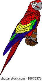 Vektorgrafik - Farbara einzeln auf weißem Hintergrund