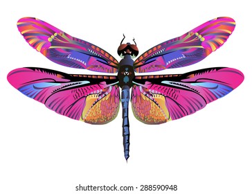 color vectorial arte libélula naturaleza
