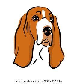 vector color basset hound head, companion and animal friendship, realistic simple facelogo purebred pet, white black red dog portrait, 
