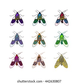 vector color beetle
