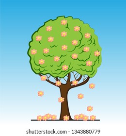 Vector color blossom spring tree