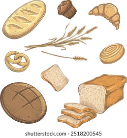 Vector Color Bread Bakery Set