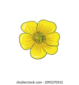 vector color buttercup icon, flower head, isolated